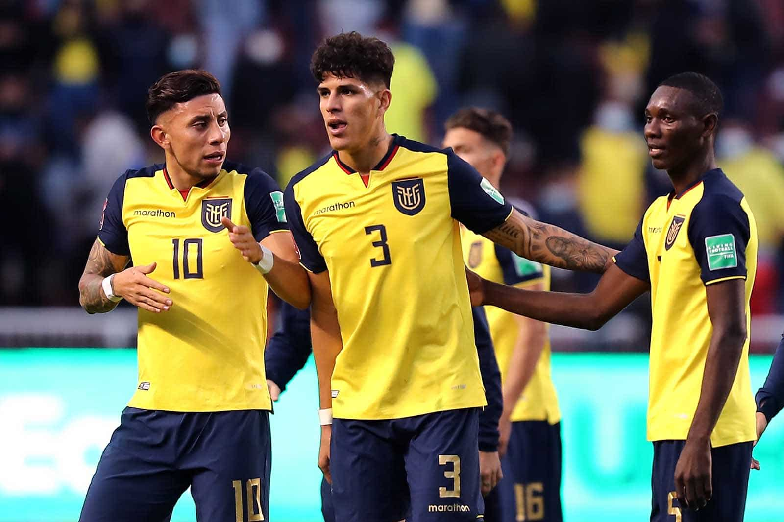 厄瓜多尔足球队2022世界杯,慕尼黑,世界杯,莱万多夫斯基,扎哈维